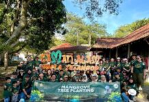 NCT Group advances climate action through mangrove restoration initiative