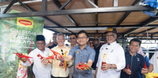 Nestle Malaysia sources all chillies locally for its Maggi Chilli Sauce