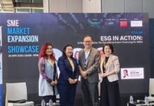 Essential insights on market expansion for SMEs