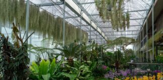 Bunga 2026 officially opens at Resorts World Awana with Asia’s finest orchid showcase